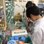 高校生向けインターンシップを行いました