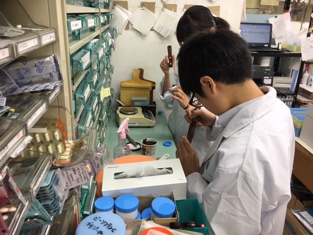 高校生向けインターンシップを行いました